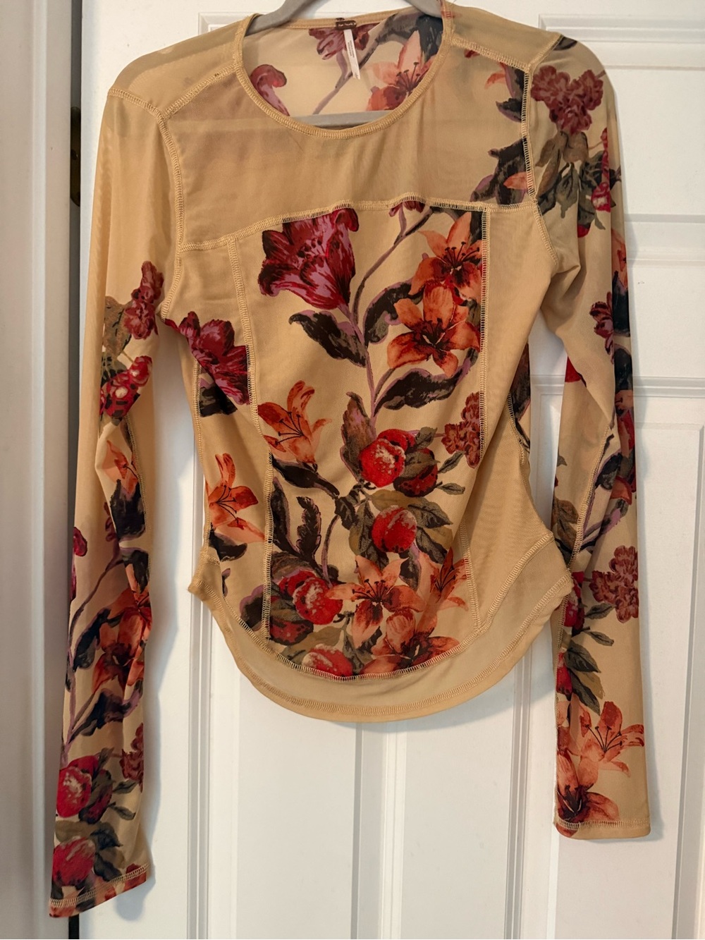 Free People Floral Long-Sleeve Sheer Top in Beige